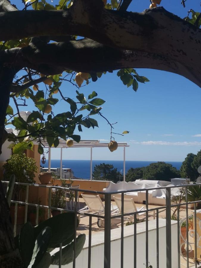 Private Villa Sea View Con Terrazza E Giardino Capri Eksteriør billede
