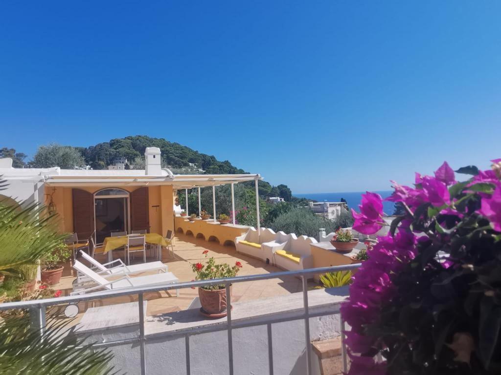 Private Villa Sea View Con Terrazza E Giardino Capri Eksteriør billede