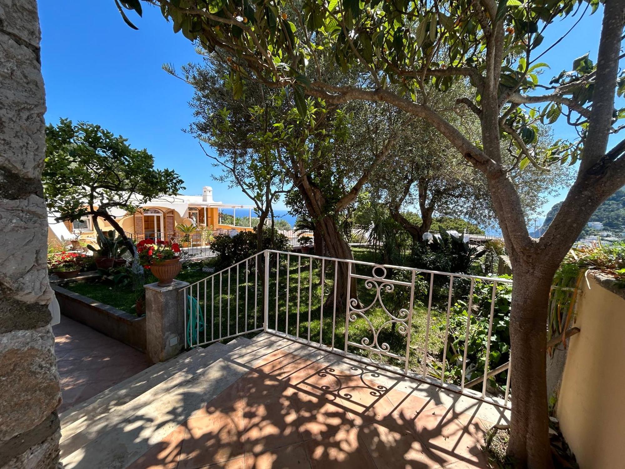 Private Villa Sea View Con Terrazza E Giardino Capri Eksteriør billede