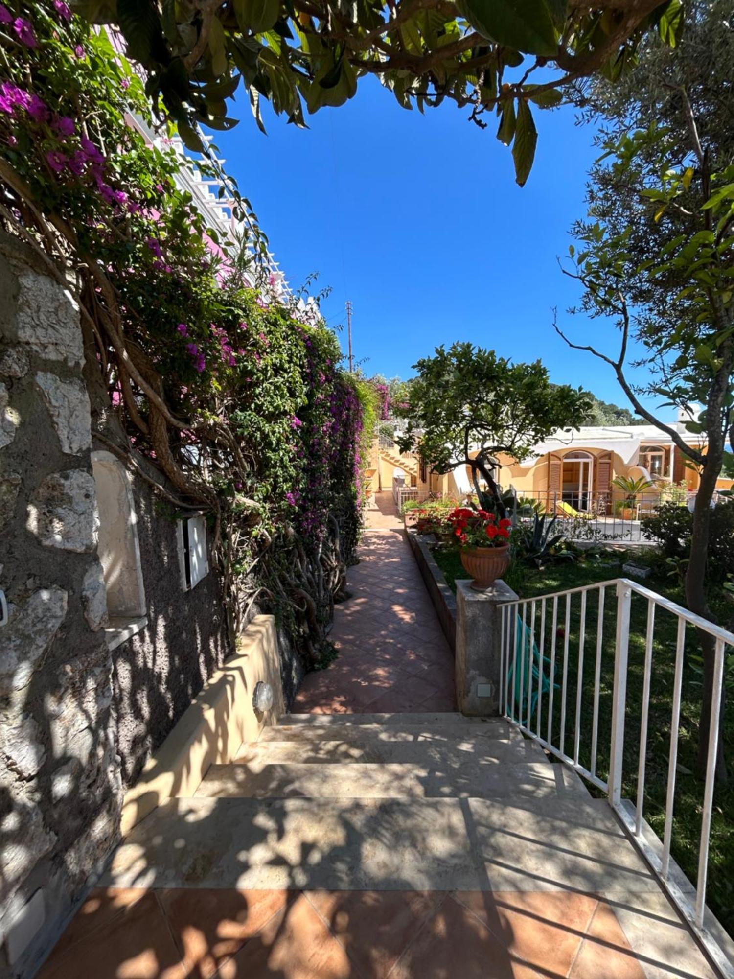 Private Villa Sea View Con Terrazza E Giardino Capri Eksteriør billede