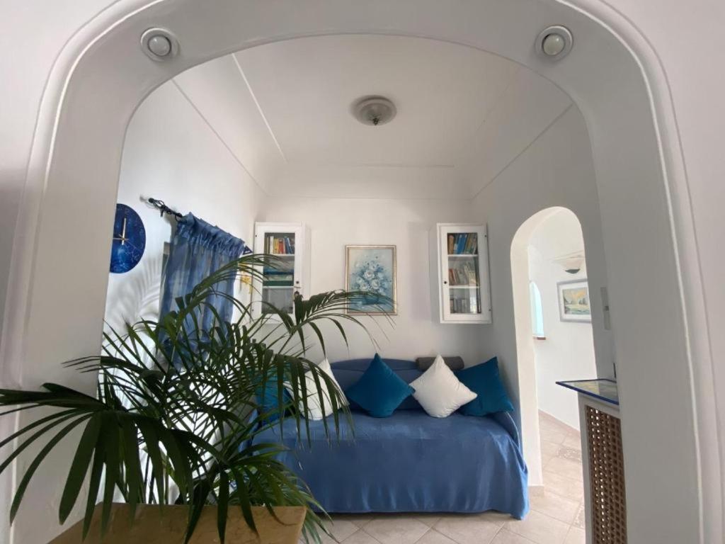 Private Villa Sea View Con Terrazza E Giardino Capri Eksteriør billede